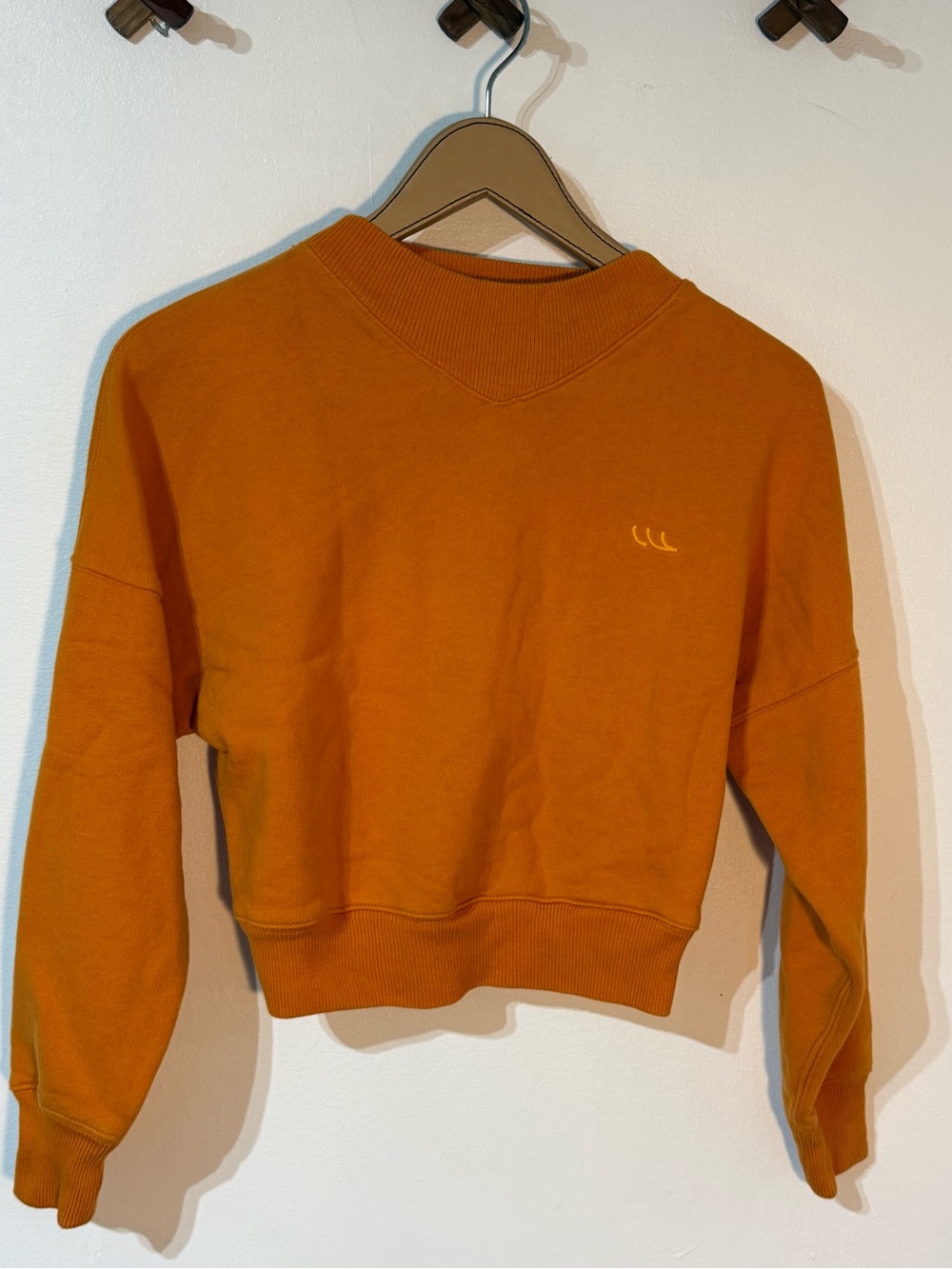 Wilfred free Cropped Crewneck Sweatshirt in Pumpkin Orange size xxs